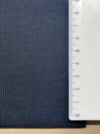 OV525 30/ TERECO Rib Fabric[Textile / Fabric] Fujisaki Textile Sub Photo