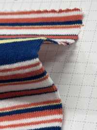 SD0174 20/1 Opening End Yarn , Yarn Dyed Multi-horizontal Stripes[Textile / Fabric] SHIBAYA Sub Photo