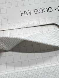 HW-9900 Inside Belt Elastic Band No Name Sub Photo