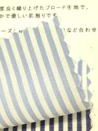 LS-1 60/1 London Stripes[Textile / Fabric] Kuwamura Textile Sub Photo