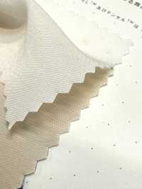 1830 Poly-Tencel™ Modal Fiber Broadcloth[Textile / Fabric] Kuwamura Textile Sub Photo