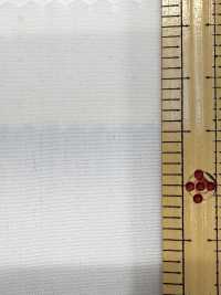 2190 80/2 End On End Tamamushi Chambray[Textile / Fabric] Kuwamura Textile Sub Photo