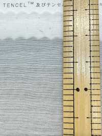 1860 Nylon/Tencel™ Lyocell Fiber Lawn[Textile / Fabric] Kuwamura Textile Sub Photo