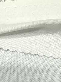 2050 Oxford Chambray[Textile / Fabric] Kuwamura Textile Sub Photo