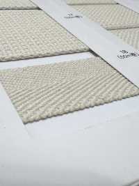 NO5502-6 Belt Tape Twill Weave[Ribbon Tape Cord] RIVER Sub Photo
