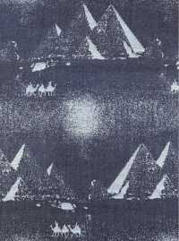 A-1728 Denim Jacquard[Textile / Fabric] ARINOBE Sub Photo