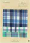 INDIA-2101 Madras Check