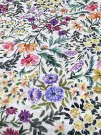 DP-5000-2 60 Lawn Digital Print Small Flowers[Textile / Fabric] HOKKOH Sub Photo