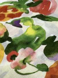 8026-590-2 80 Chiffon Voile Fruits[Textile / Fabric] HOKKOH Sub Photo