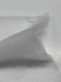 KWX30 [Interlining] Sub Photo