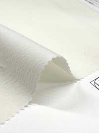 11554 [Textile / Fabric] SUNWELL Sub Photo