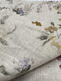 7026-1710-4 CL Loomstate Botanical Pattern[Textile / Fabric] HOKKOH Sub Photo