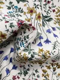 4026-1755-1 21W Corduroy Small Flowers[Textile / Fabric] HOKKOH Sub Photo