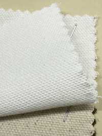 INDIA-2154 INDIA DUCK[Textile / Fabric] ARINOBE Sub Photo