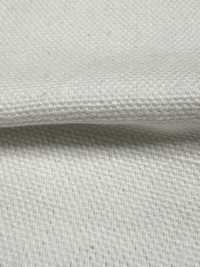 INDIA-2154 INDIA DUCK[Textile / Fabric] ARINOBE Sub Photo