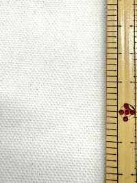 INDIA-2154 INDIA DUCK[Textile / Fabric] ARINOBE Sub Photo