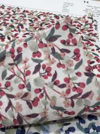 7026-1610-2 60 Lawn 9088 Fruit Pattern[Textile / Fabric] HOKKOH Sub Photo