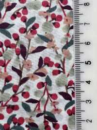 7026-1610-2 60 Lawn 9088 Fruit Pattern[Textile / Fabric] HOKKOH Sub Photo