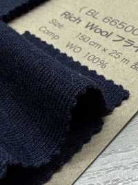 BL66500 Rich Wool Circular Rib[Textile / Fabric] BELL TEX Sub Photo