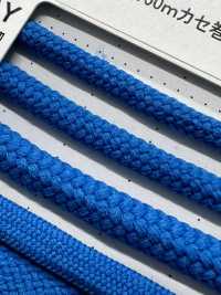 2AY Flexy 4.2mm[Ribbon Tape Cord] Cordon Sub Photo