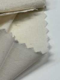 綿シーチング-55.5 Cotton Loomstate 55.5 Meters Roll Maruhachi Sub Photo