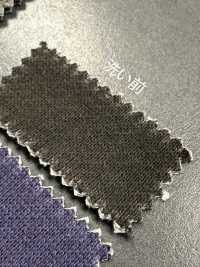 1078551GA 30/1 Pigmented Wool[Textile / Fabric] TAKISADA NAGOYA Sub Photo