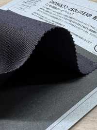 1026520 CHORUS Ramie X SOLOTEX® Lightweight Stretch Twill[Textile / Fabric] TAKISADA NAGOYA Sub Photo