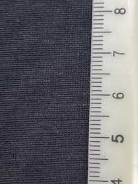 41366 Mono Natural Double Sheer[Textile / Fabric] SUNWELL Sub Photo