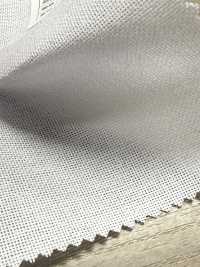 E300P Polyester Hard Type Dot Core[Interlining] No Name Sub Photo