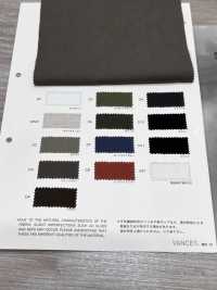 2921 Linen Linen Weather Cloth Bio-Naturally Dry[Textile / Fabric] VANCET Sub Photo