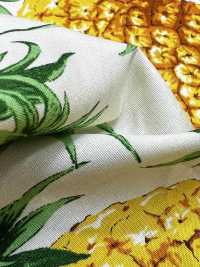 4247 Broadcloth Stylish Relax PINEAPPLE[Textile / Fabric] VANCET Sub Photo
