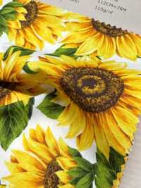 850541 Broadcloth Himawari Oil Painting Touch[Textile / Fabric] VANCET Sub Photo