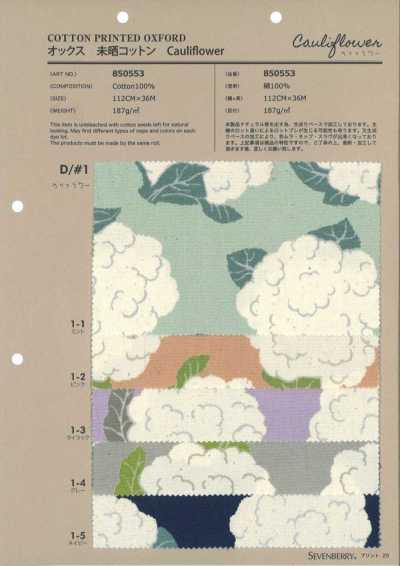 850553 Oxford Unbleached Cotton Cauliflower