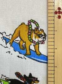 850599 Broadcloth Stylish Pop: Surfing Dogs[Textile / Fabric] VANCET Sub Photo