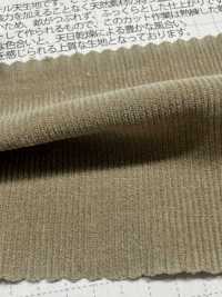SBC4040 21W Shirt Corduroy Dry Wash Finish[Textile / Fabric] SHIBAYA Sub Photo