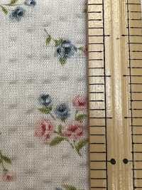 AP62801 Ripple Petit Poplin (Round)[Textile / Fabric] COSMO TEXTILE Sub Photo