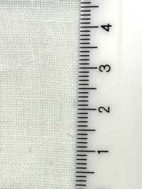 B6500Z Double Gauze Half-fold[Textile / Fabric] VANCET Sub Photo
