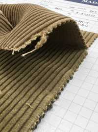 ND7025 Shankar 9W Organic Corduroy Bio-processed[Textile / Fabric] Kumoi Beauty Sub Photo