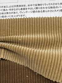 ND7005 9W Corduroy Corduroy With Nidom Bio-Processing[Textile / Fabric] Kumoi Beauty Sub Photo