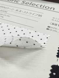 B88191Z 60 Thread Lawn, Polka Dot/stripe Pattern, Half-fold[Textile / Fabric] VANCET Sub Photo