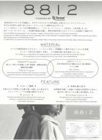 689 8812 Vintage Circular Rib[Textile / Fabric] VANCET Sub Photo