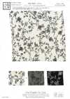 KKP8031-75 Silky Dew Satin