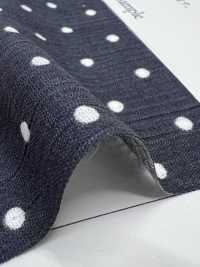 1930-DOT Takashima Chijimi Fabric, Polka Dot Pattern[Textile / Fabric] Sub Photo