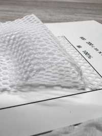 800 [Lining] Sub Photo