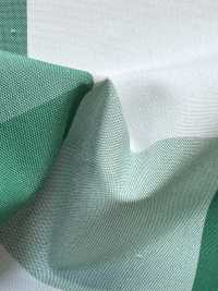 KYC910-W-C-1 T/C Yarn Dyed Check Wide Width[Textile / Fabric] Uni Textile (Komon Kobo) Additional Images
