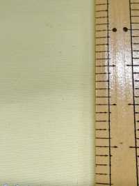 FS003018A Tussar(Ny7OD × Ny160D) Water-repellent × Acrylic Coating[Textile / Fabric] Sub Photo
