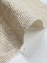 BC1867 Leno Weave Weave Dot Mesh[Textile / Fabric] COSMO TEXTILE Sub Photo