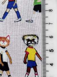 DP-7940-5 60 Lawn Inkjet Print Cat Seersucker[Textile / Fabric] HOKKOH Sub Photo