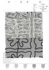7027-416-1 Organza Cord Embroidery Square