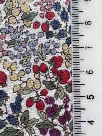7027-618-1 60 Lawn 9088 Berry Pattern[Textile / Fabric] HOKKOH Sub Photo